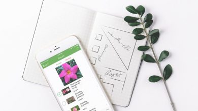 تطبيق PlantSnap للتعرّف على الزهور والنباتات من الصور باستخدام الذكاء الاصطناعي مدونة نظام أون لاين التقنية