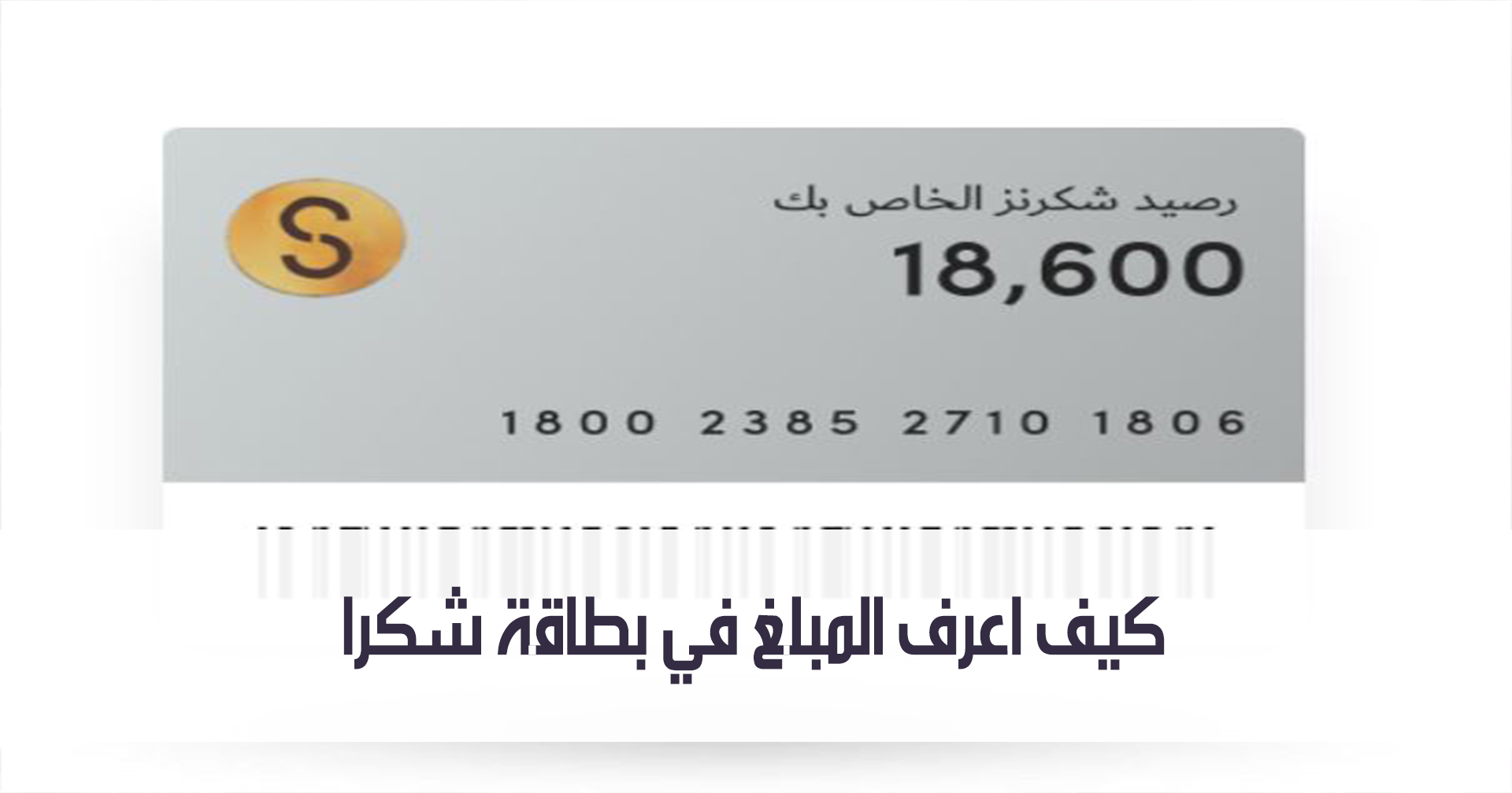 كيف اعرف المبلغ في بطاقة شكرا وماهي المميزات الأخرى الموجوده بها مدونة نظام أون لاين التقنية